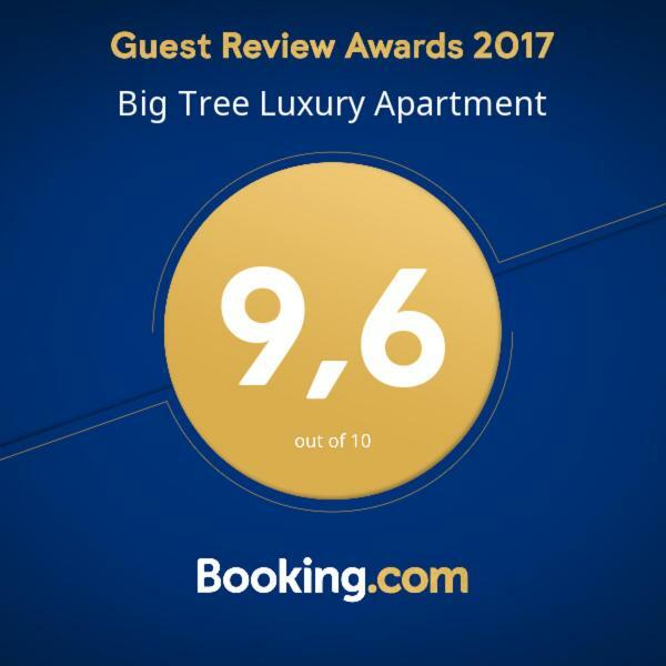 Big Tree Luxury Apartment 罗马 外观 照片
